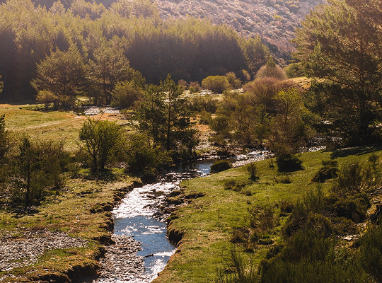 Camping «La Vera» en la Comarca de La Vera