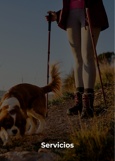 Servicios