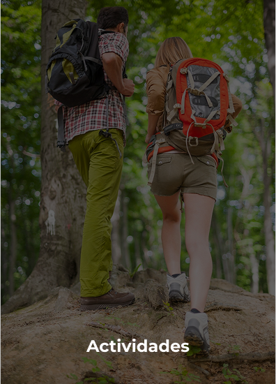 Actividades